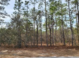 39 Whitewood St, Homosassa, FL 34446