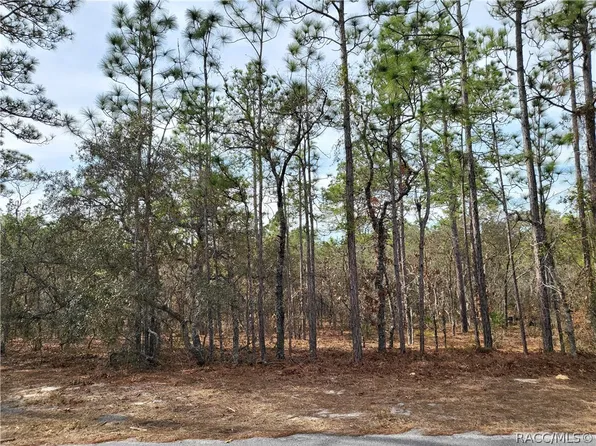 39 Whitewood St, Homosassa, FL 34446