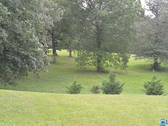 3rd image of 81 Orchard Ln