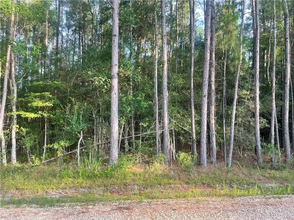 Worsham Dr, Abita Springs, LA 70420