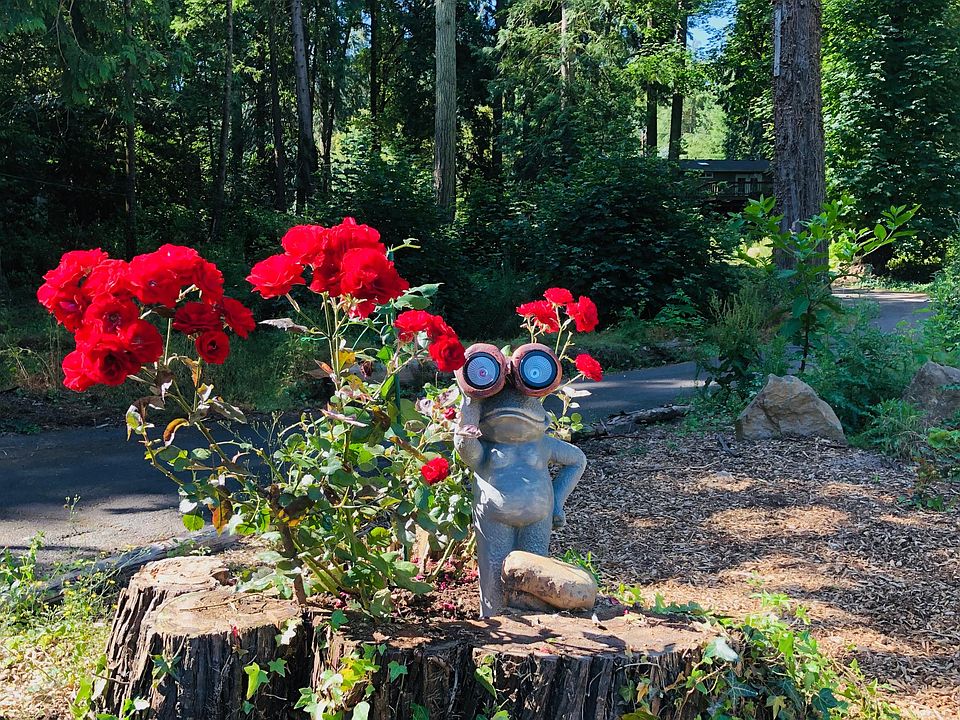 Rosie Ranch