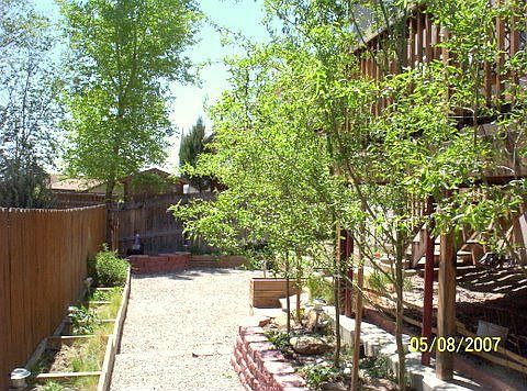 Low Maintenance Back Yard