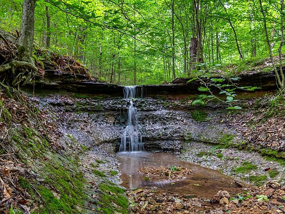 5th image of 3402 Blackburn Rd