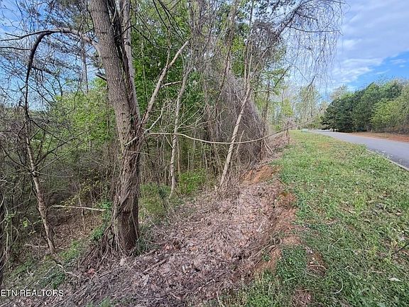 4th image of 140 Tumbleweed Trl
