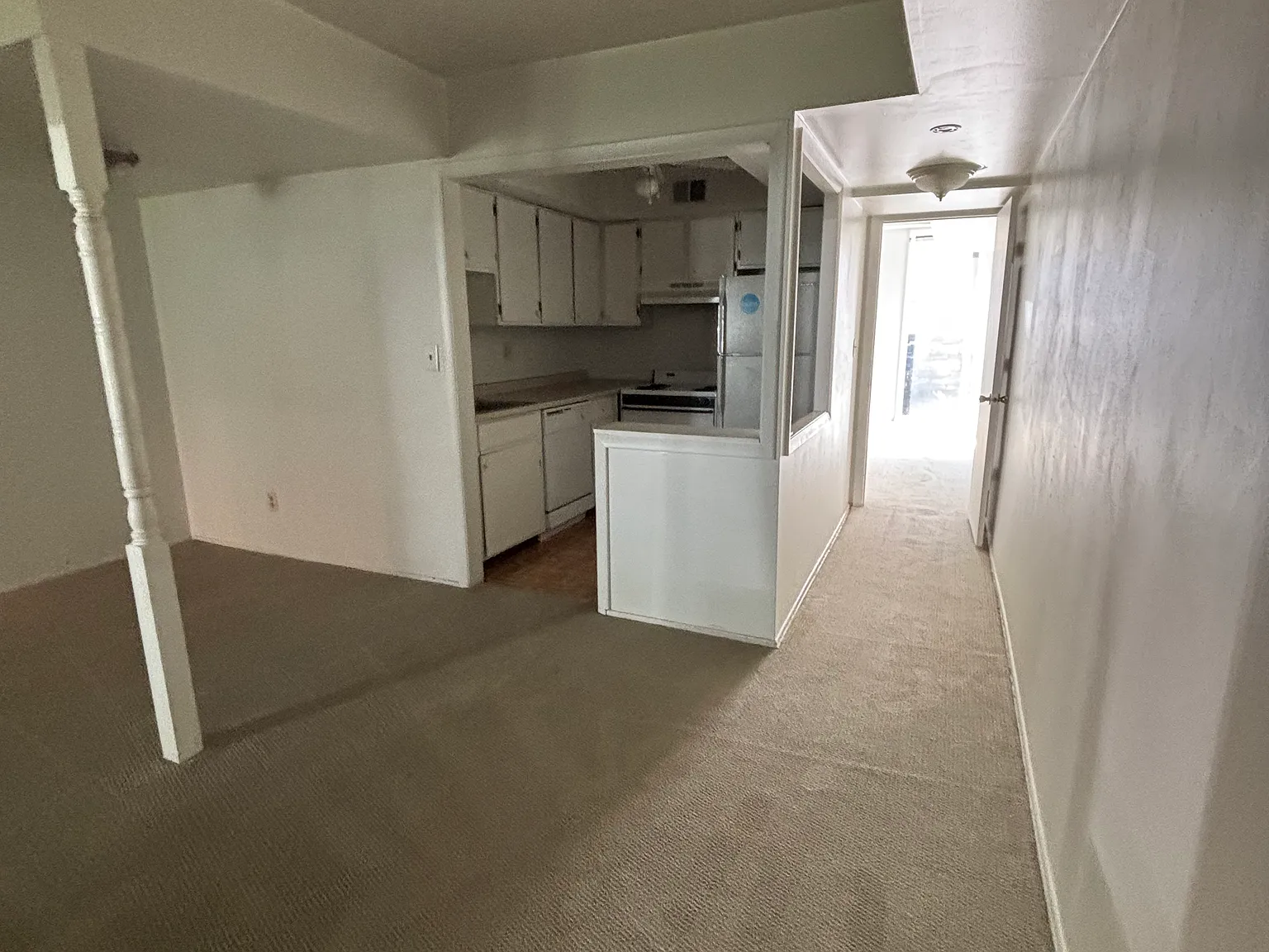 1 bed, 800 sqft, $1,250 — Photo 4