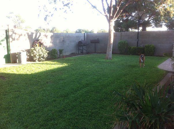 Back Yard