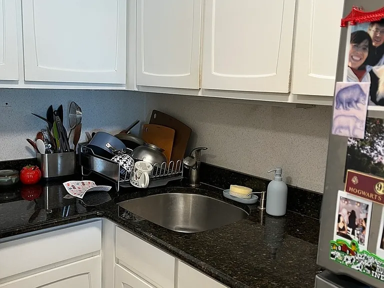 777 N Michigan Ave #2507 — Photo 6