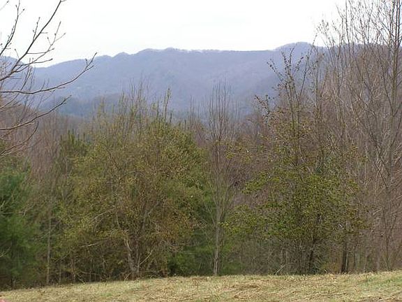 2nd image of 1315 Caldwell Mountain Road #Lot 11