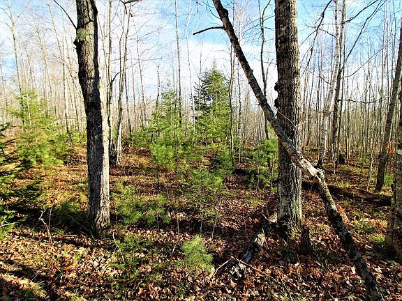 5th image of LOT 9 Beaver Lodge Cres Lot 9