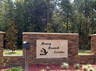 314 Honey Branch Ln, Saint Augustine, FL 32092