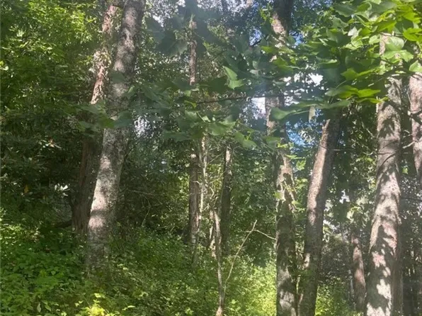 Tbd Ayers Mountain E, Banner Elk, NC 28604