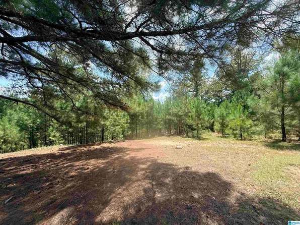 0 Rockyview Rd #0, West Blocton, AL 35184