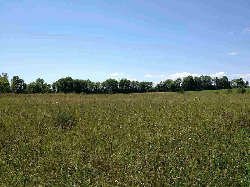 5th image of 481 Deweys Bridge Road