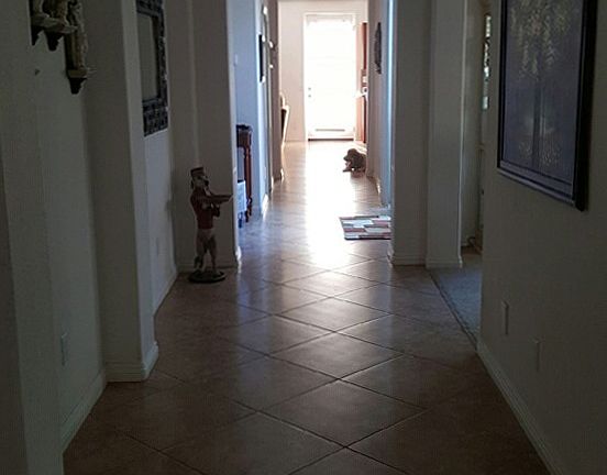 Entry with Upgraded Tile 