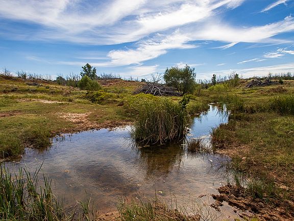 4th image of TRACT 11 N County Rd #2210