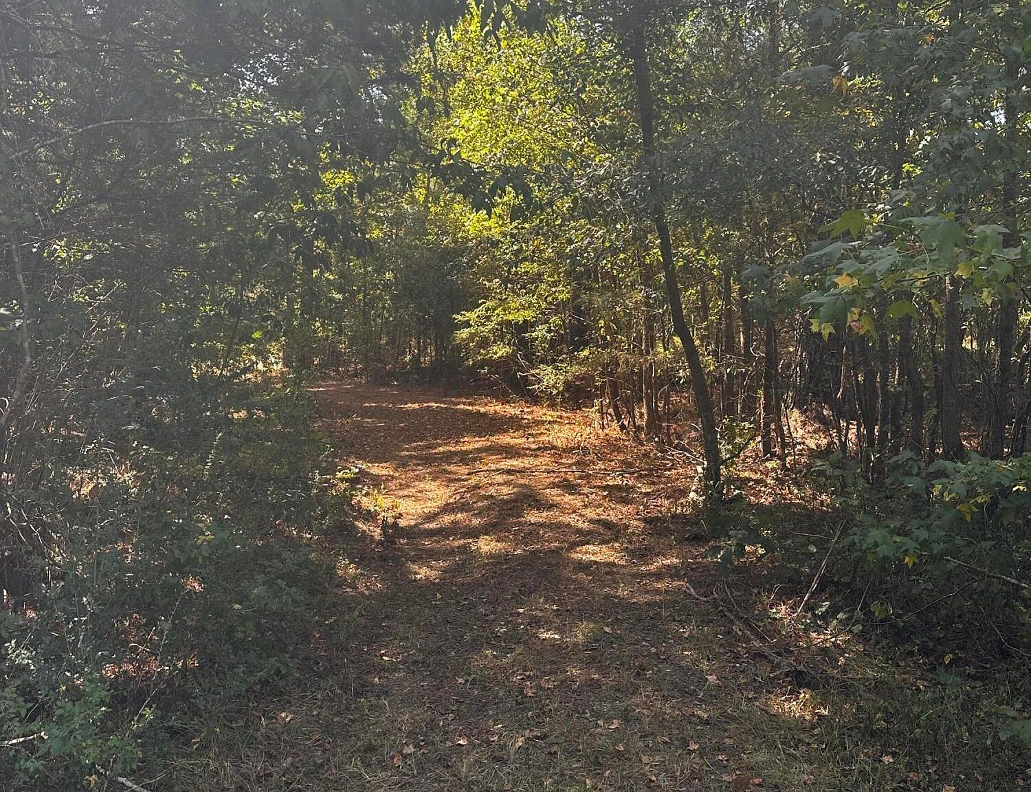 Roberts Rd, Canton, MS 39046 Zillow