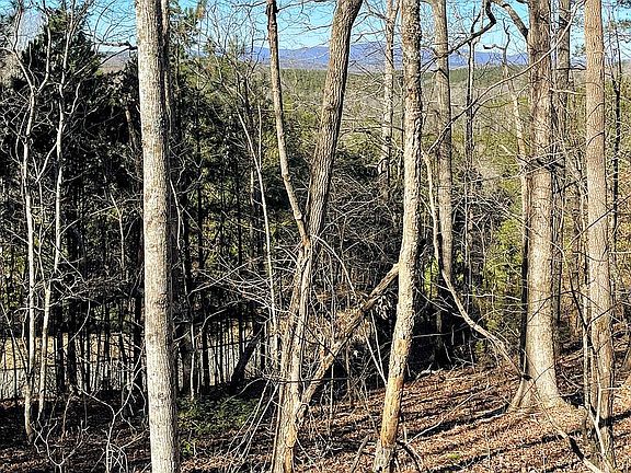 2nd image of 126 Preserve Pkwy