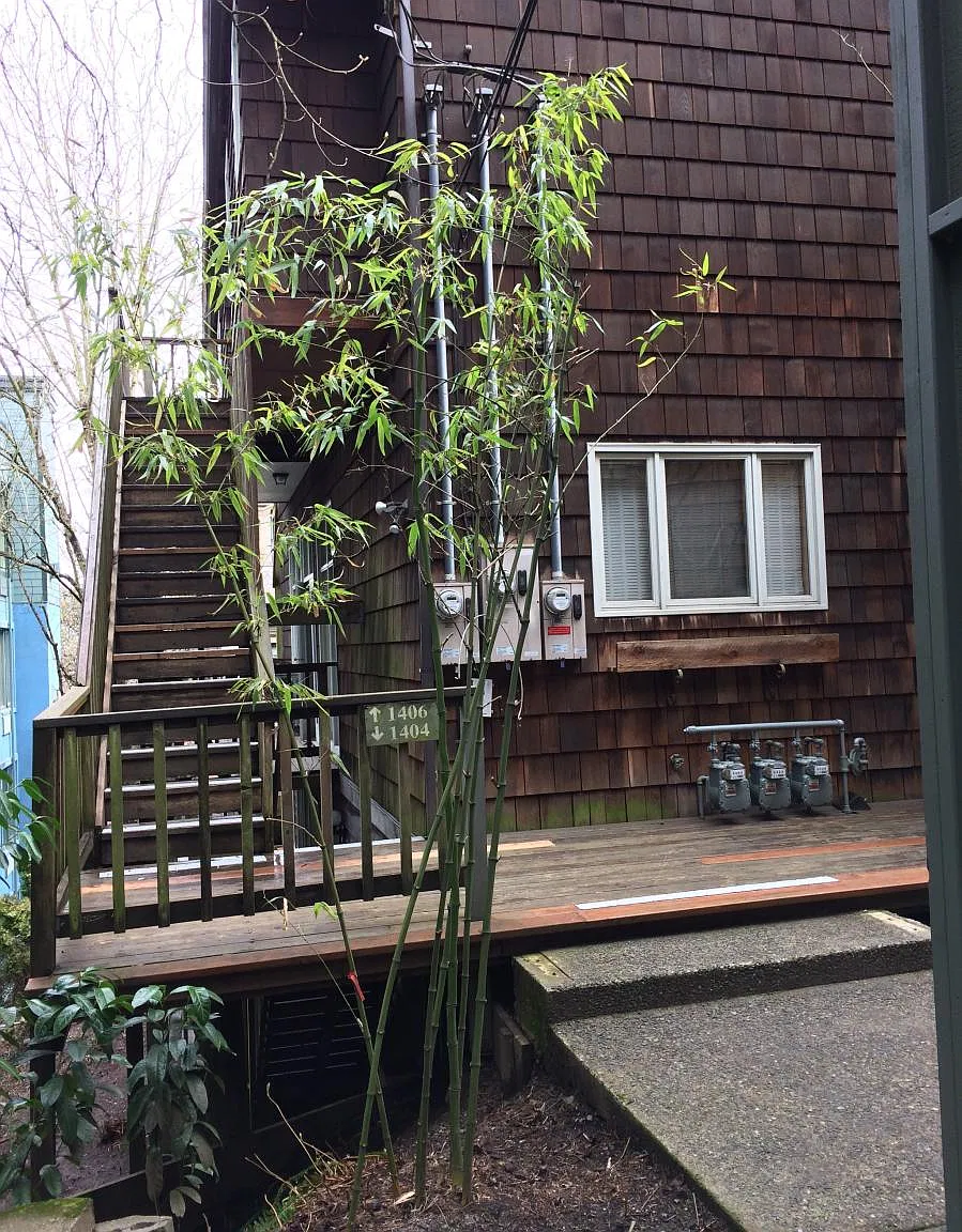 1 bed, 650 sqft, $1,650 — Photo 3