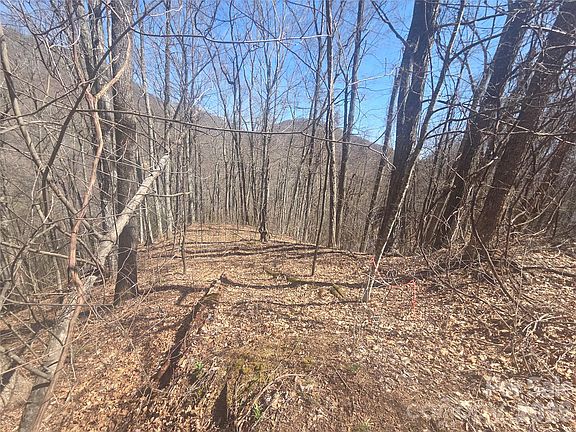 3rd image of 820 Chestnut Flats Rd #4