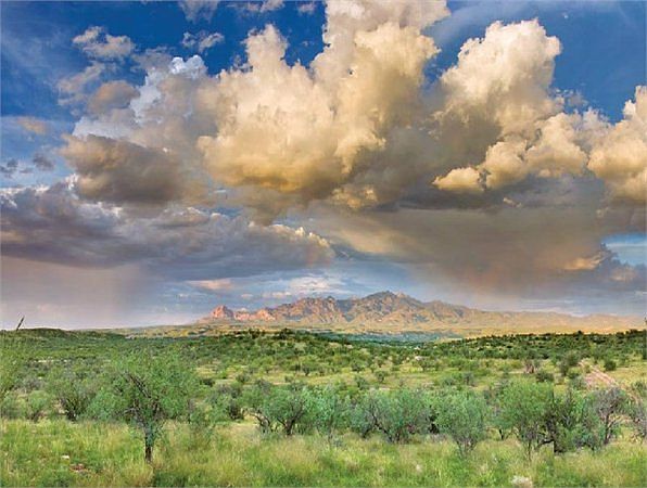 Santa Cruz County / Rio Rico, AZ
