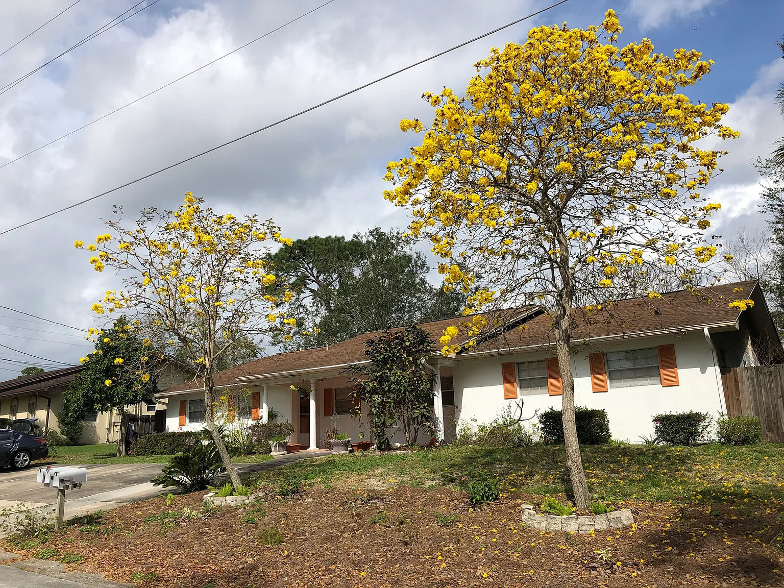 14 Dogwood Trl — Photo 1