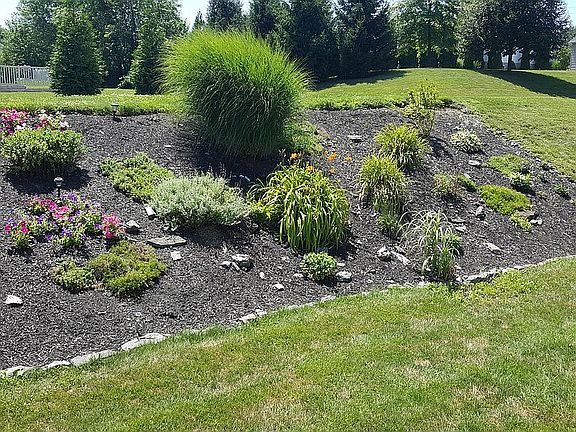 Back yard with nice plants
