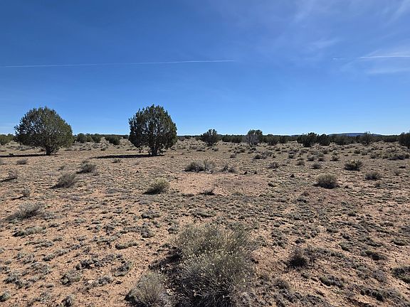 5th image of 8A Off Tanner Rd
