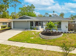 3515 Glossy Ibis Ct, Palm Harbor, FL 34683
