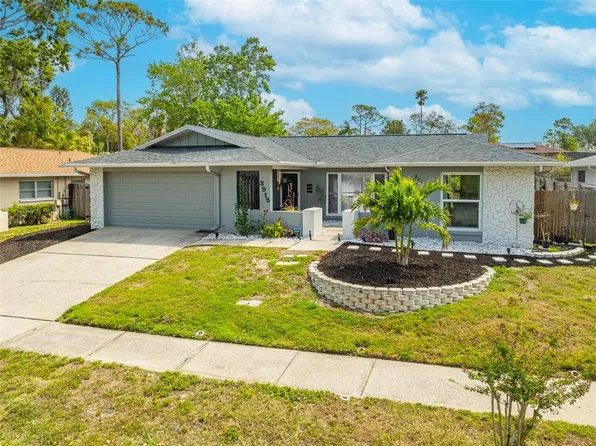 3515 Glossy Ibis Ct, Palm Harbor, FL 34683