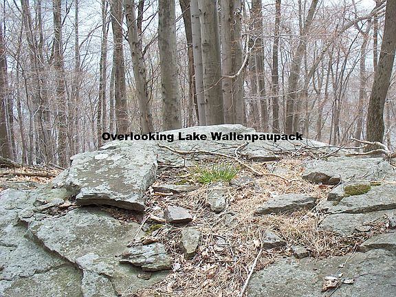 4th image of 95 Lake Shore Dr