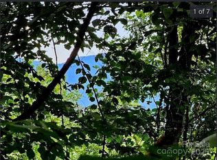 709 Bumgarner Cemetery Rd, Whittier, NC 28789