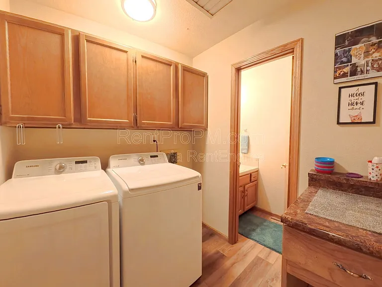 3209 White Elm Ct — Photo 9