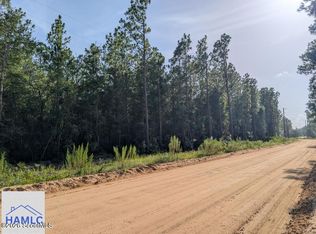 0 Church St TRACT 12, Jesup, GA 31546