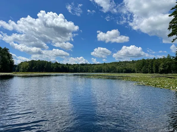 (undisclosed Address), Eldred, NY 12732