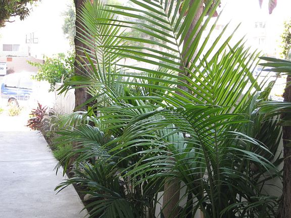 3rd image of 5919 Chula Vista Way APT 8