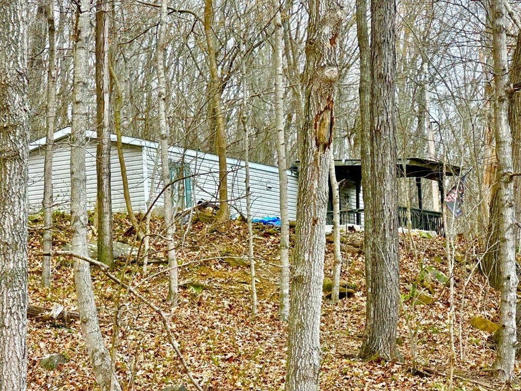 Real estate listing image