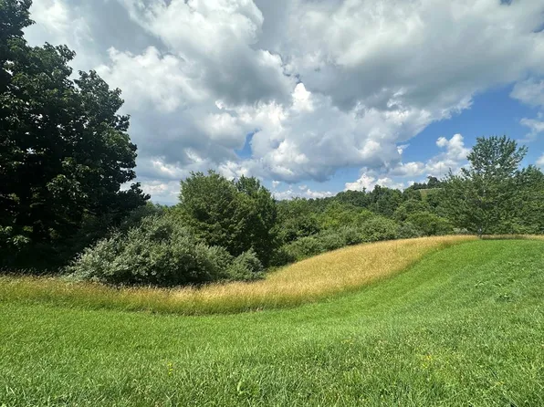 York Ridge Rd, Mouth Of Wilson, VA 24363