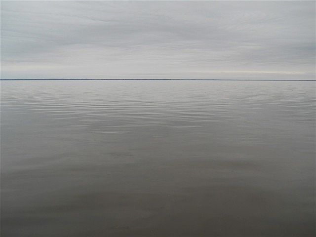 1st image of Xxx Clearview