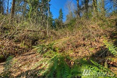 4th image of 13750 97th Ave NE