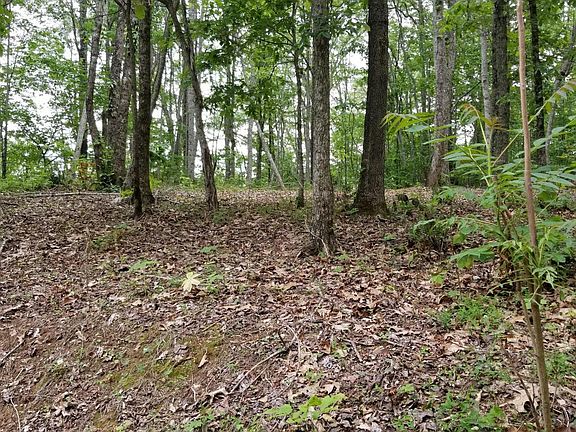 4th image of Lot 3 Peregrine Dr Lot 3