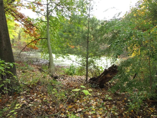 11 Mile Rd Parcel C, Rockford, MI 49341