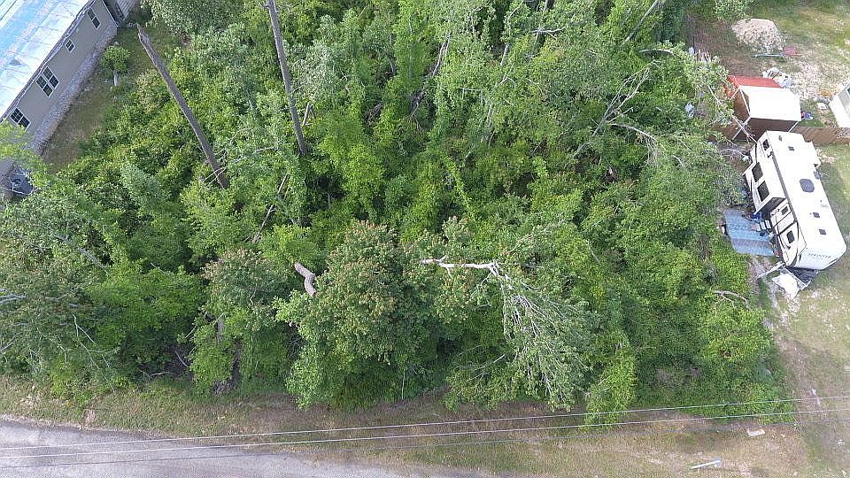 1st image of Magnolia Ave