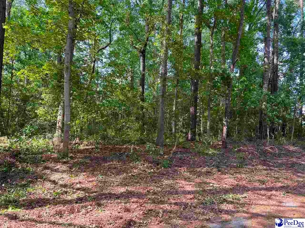 289 Pineneedle Cir, Johnsonville, SC 29555