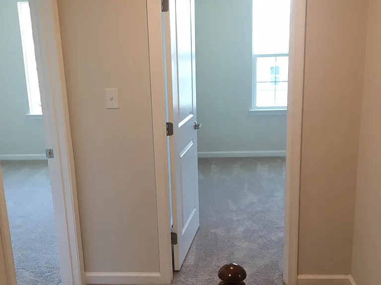172 Mulberry Dr — Photo 15