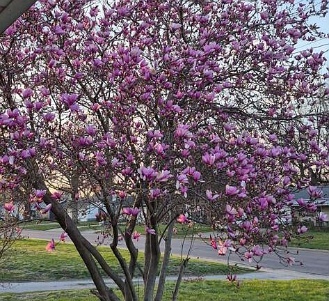 2nd image of 758 W Vest St