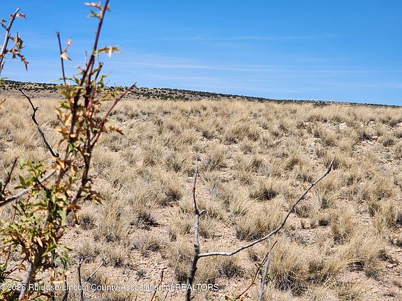 4th image of L135 Ranch View Loop