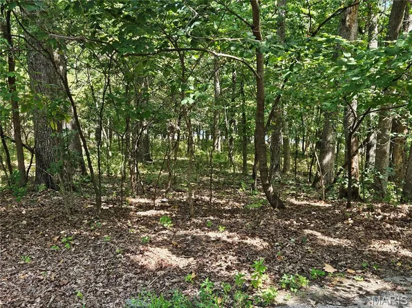 Azelia Ln, Hillsboro, MO 63050