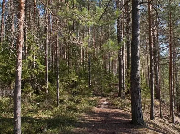 00 Bridgton Road, Sweden, ME 04040