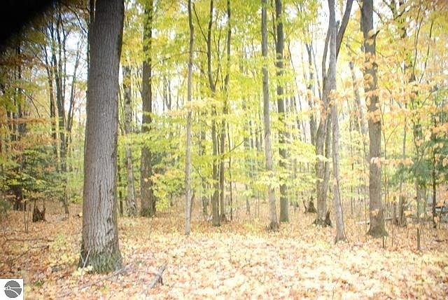 1st image of 19 Balsam Trl
