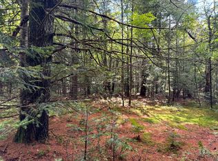 1.3 Farr Rd #3, Forestport, NY 13338